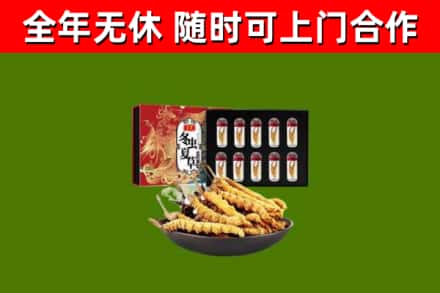 阿里回收冬虫夏草价格